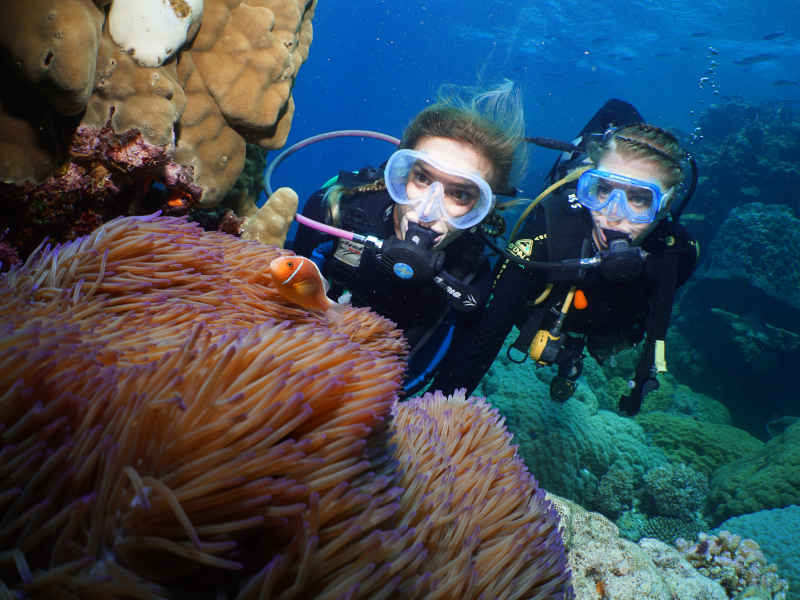 Learn to dive on the Great Barrier reef (5 day) 